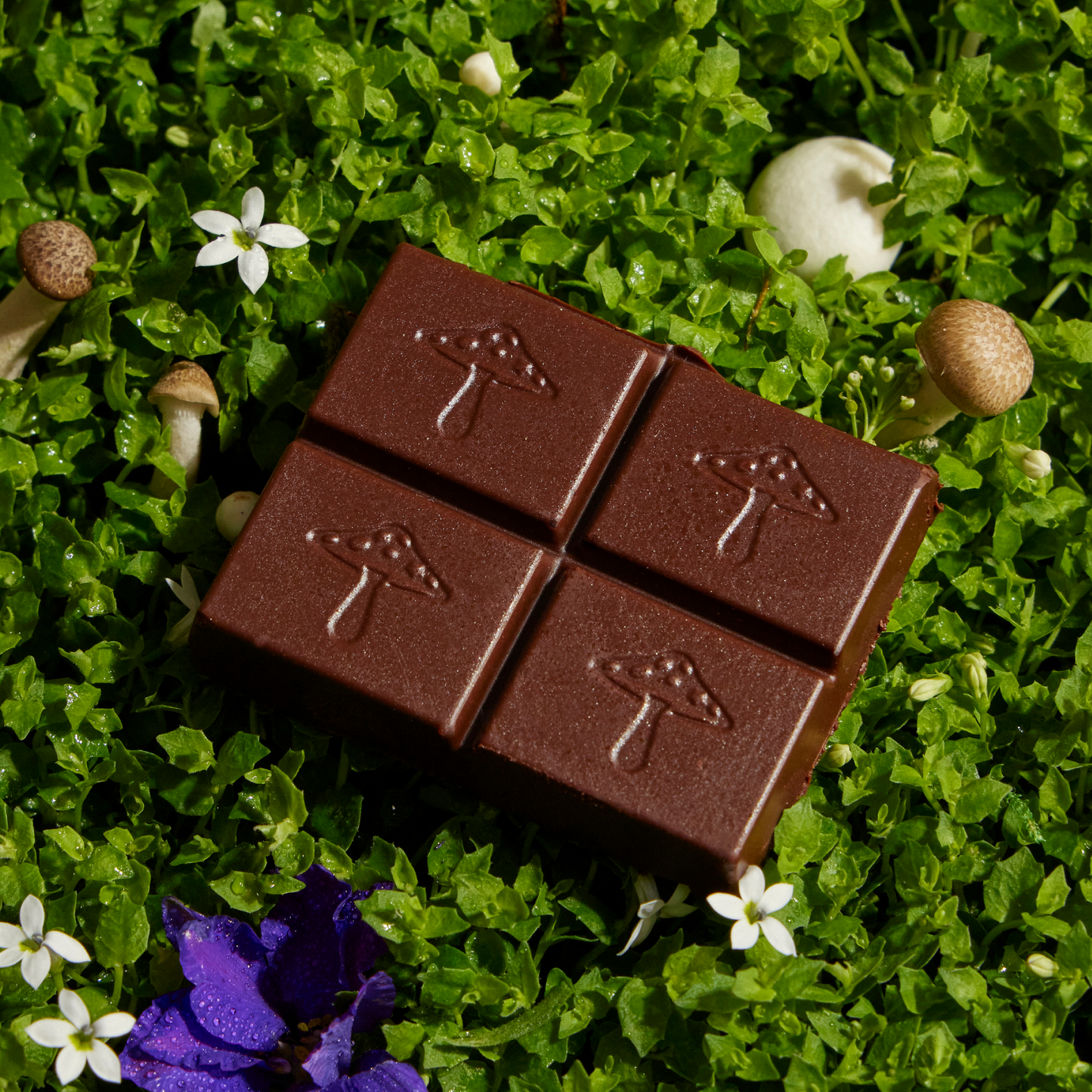 Brainstorm Single Tin