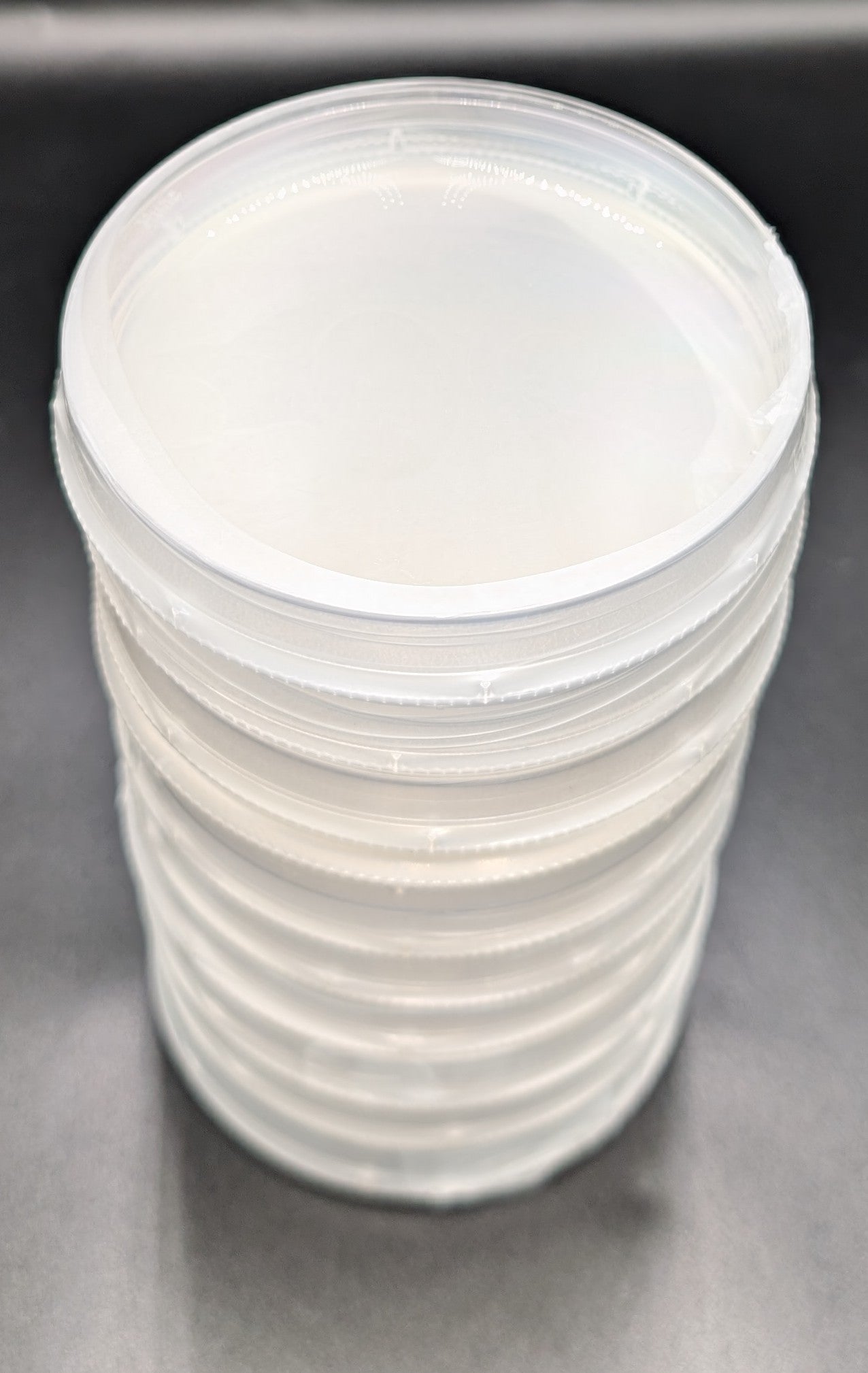 Foundation Series - Prepared Agar Plates