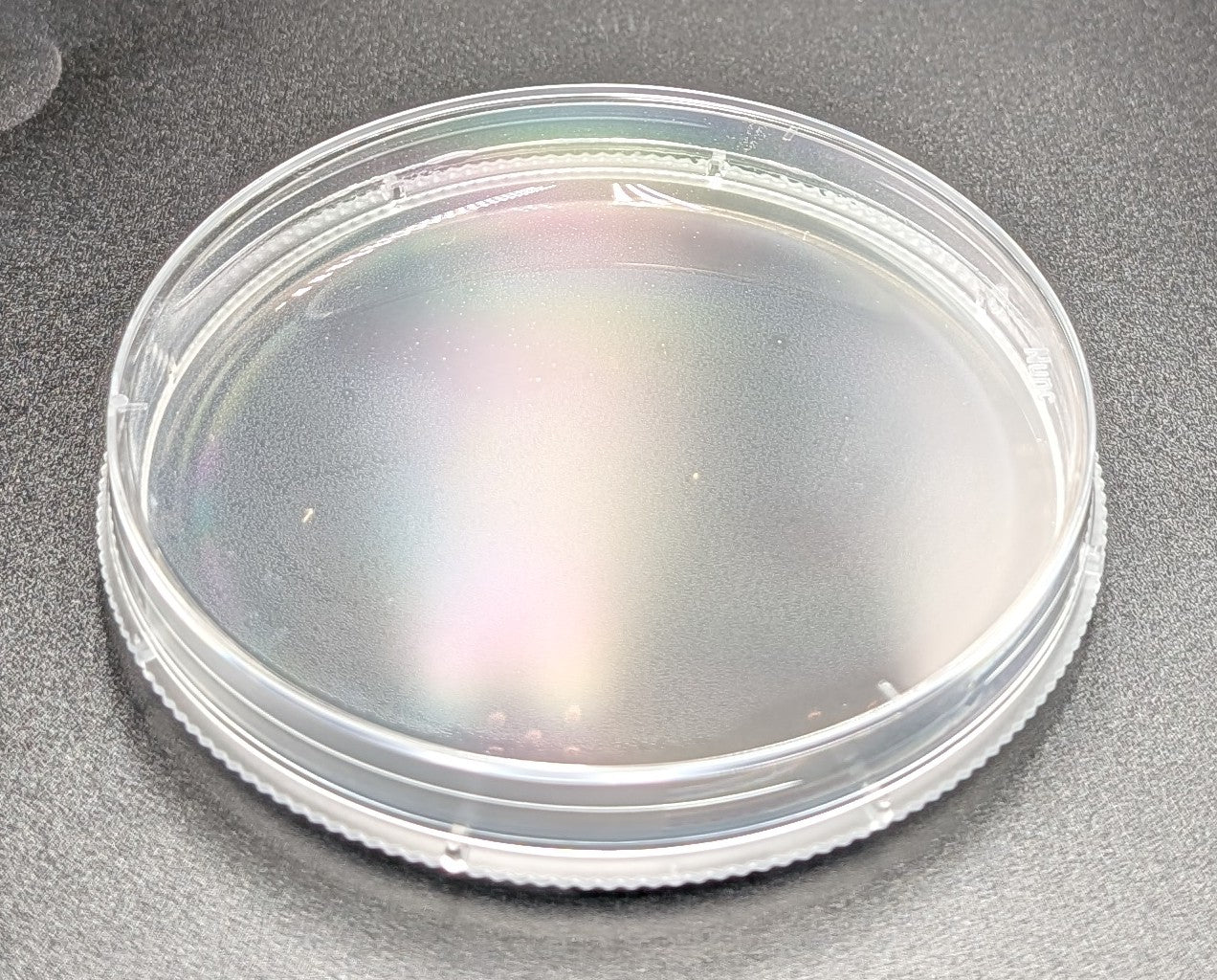 Contrast Series - Prepared Agar Plates