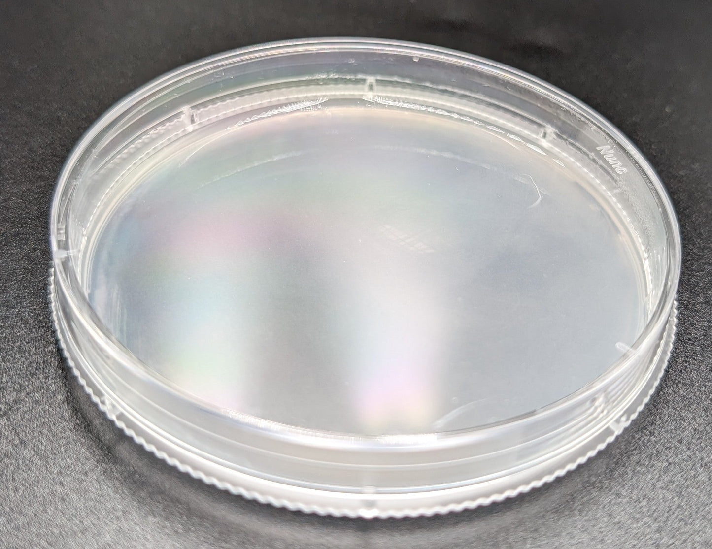 Foundation Series - Prepared Agar Plates